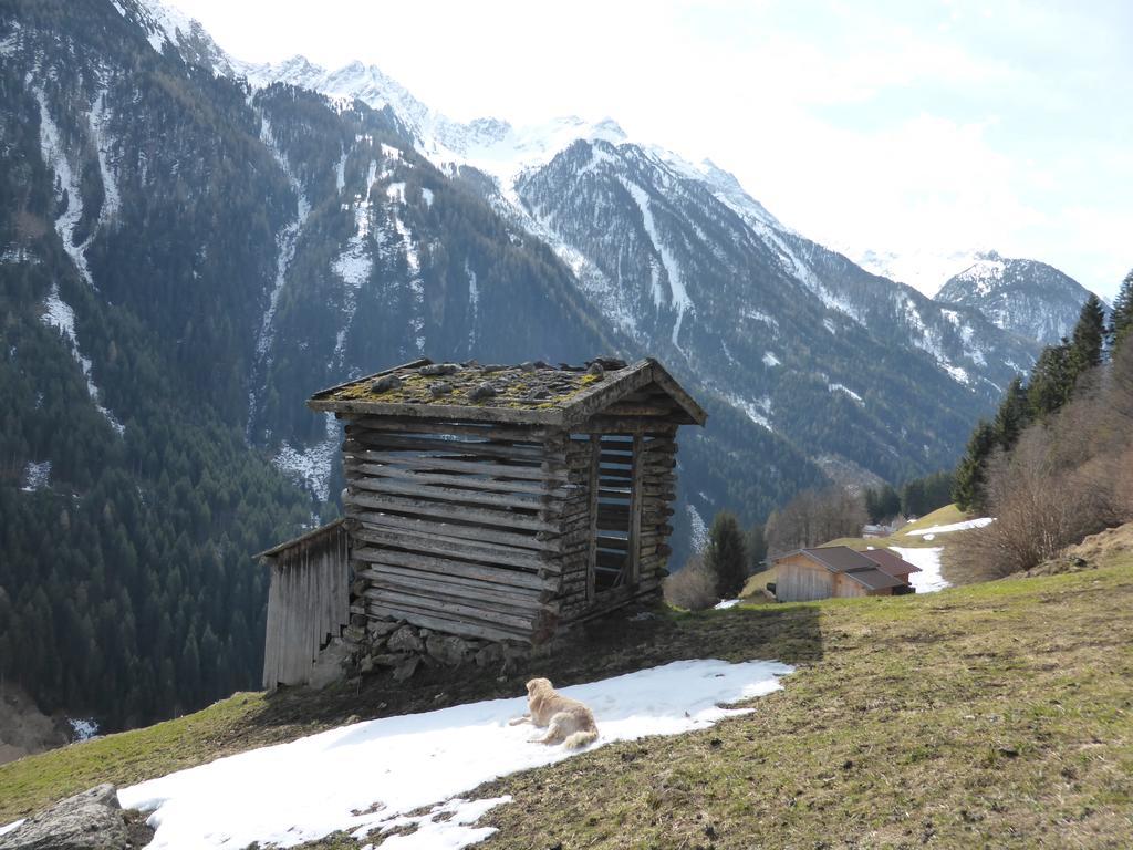Pension Steinadler Neustift im Stubaital Eksteriør billede
